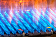 Cefn Einion gas fired boilers